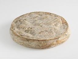 Cheeses of the world - Saint-Nectaire